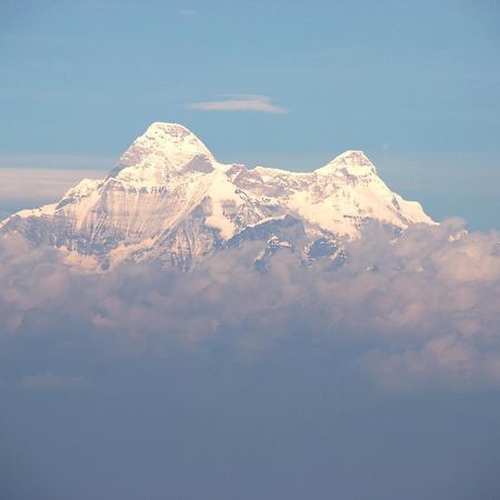 Nest And Hives Motiapathar/Mukteshwar Hotel Екстериор снимка